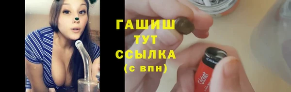 тгк Алзамай