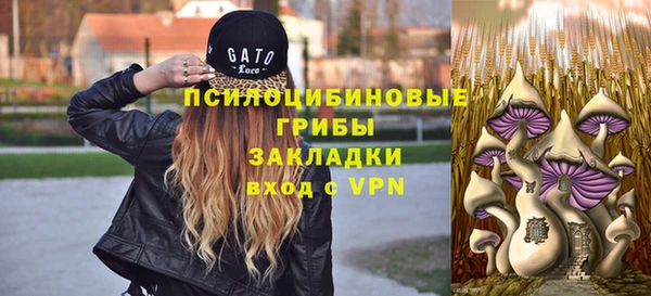 мяу мяу мука Алексин