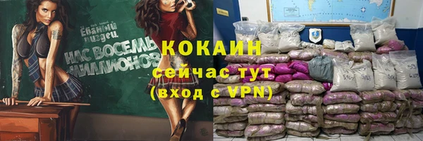 тгк Алзамай
