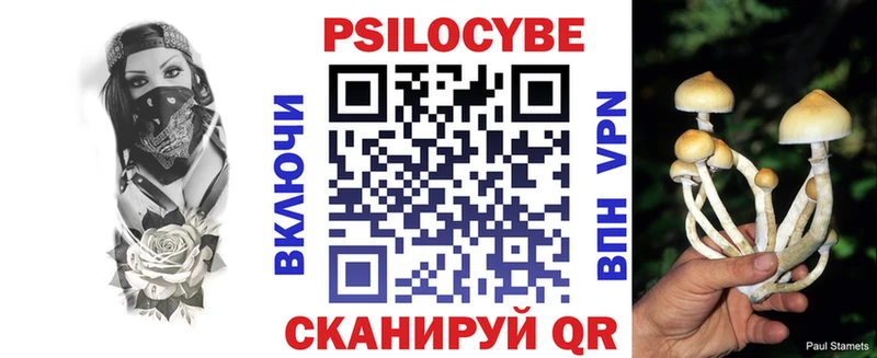 Псилоцибиновые грибы мицелий  Дудинка 